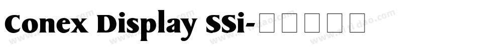 Conex Display SSi字体转换